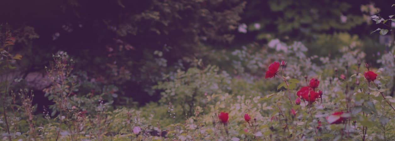 Bouquet Homes exterior representing the founders vision for intimate care.