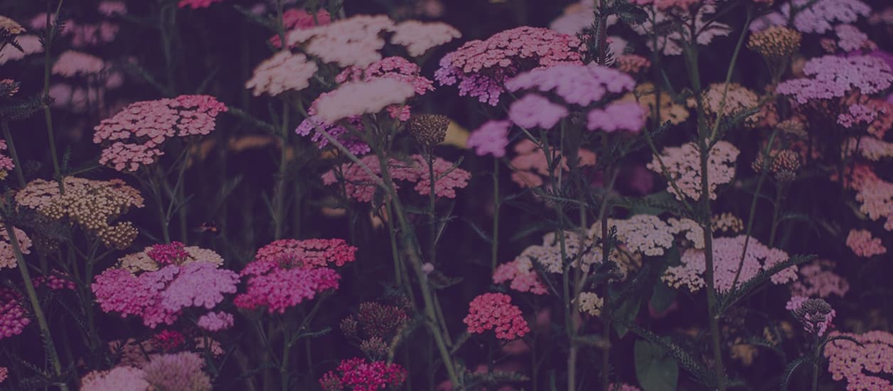 Comfortable indoor assisted living space with warm furnishings.