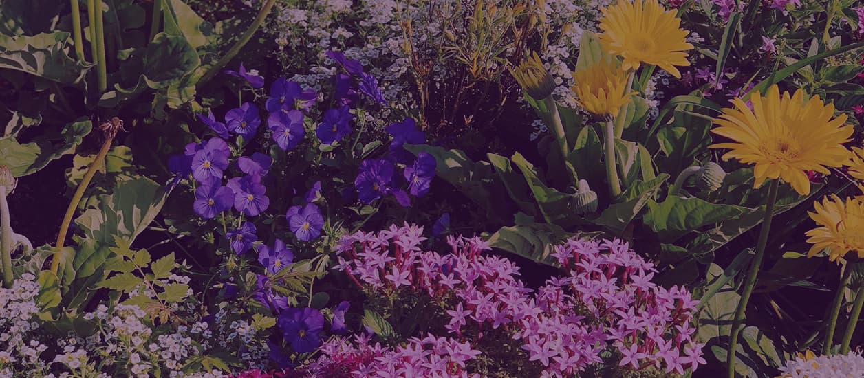 Resident-focused community setting with bright, welcoming atmosphere.