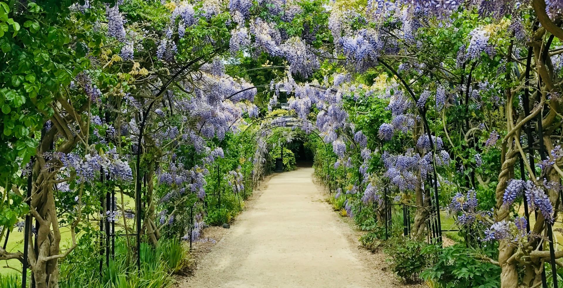Peaceful pathway symbolizing a supportive next chapter for families.